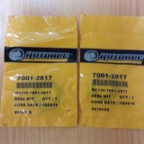 Уплотнение SEAL KIT